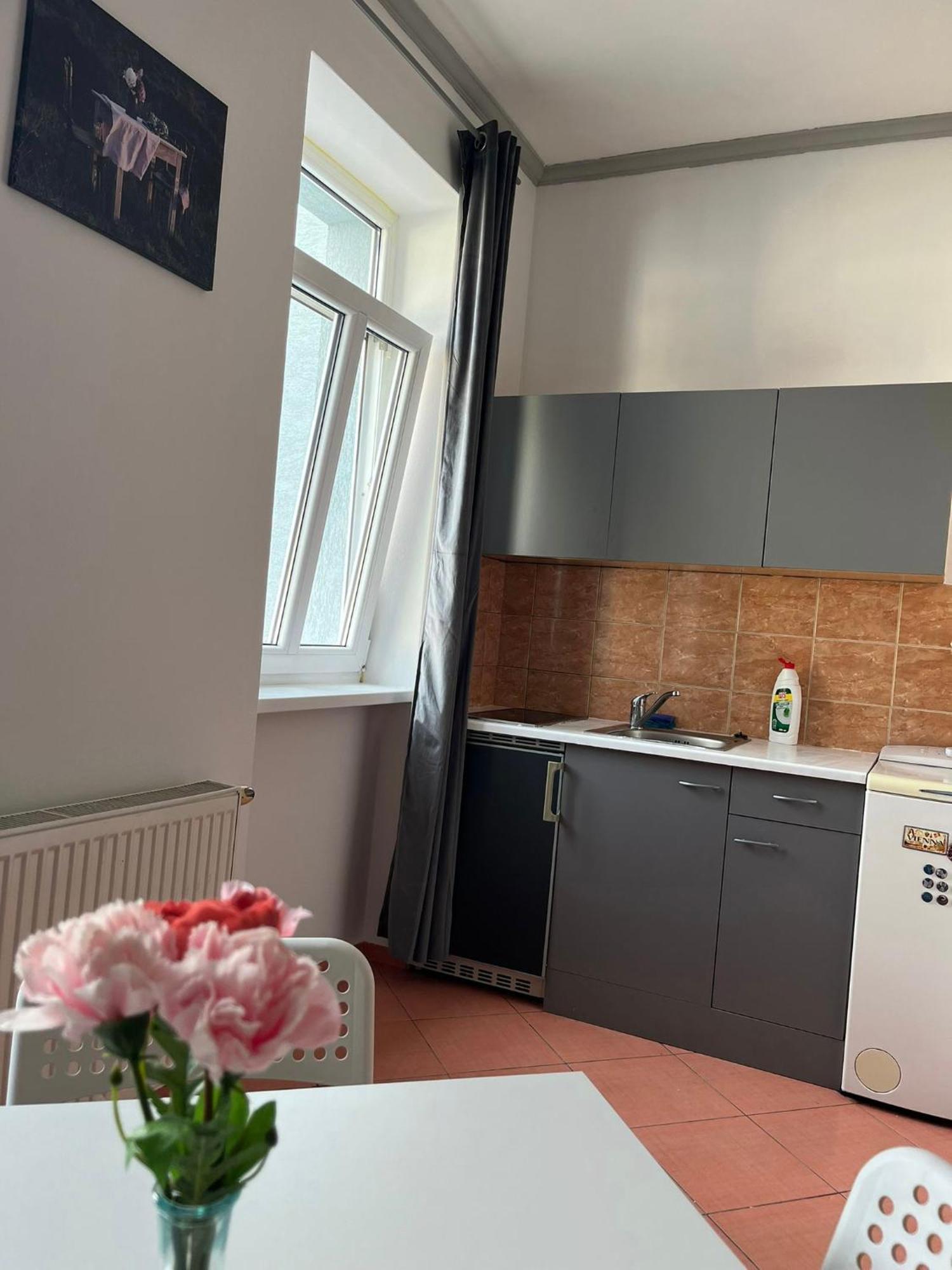 1St Plaza Apartment 布拉迪斯拉发 外观 照片